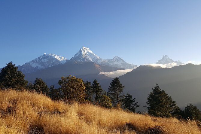 Ghorepani Poonhill Hiking Nepal - Key highlights to know before you go