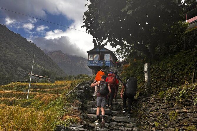 Ghorepani Poonhill Private Trek - 2 nights / 3 days - Day Three: Poon Hill Sunrise at 3,210 Meters