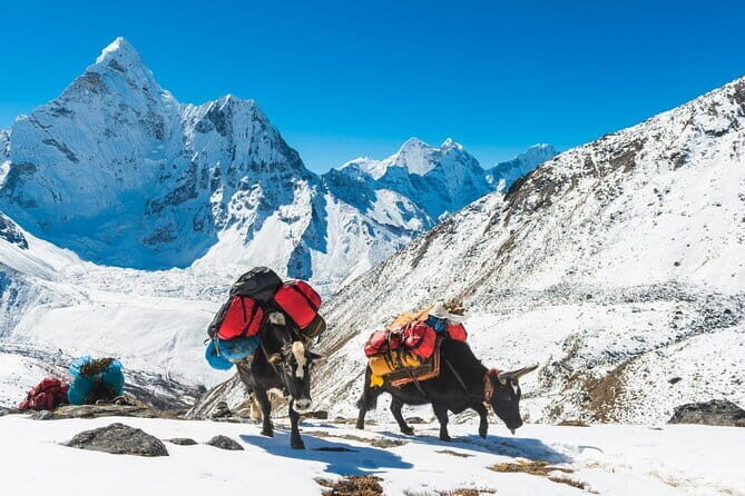 Ghorepani Poonhill Trek (6 Days) - Day 4: Sunrise at Poonhill and the Walk Toward Ghandruk