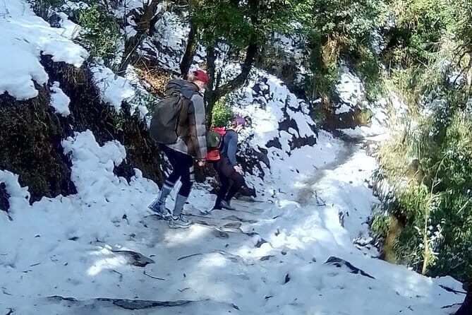 Ghorepani Poonhill Trek (6 Days) - The Guide Factor: Why Sujan Ratna Shakya Is a Big Part of the Experience