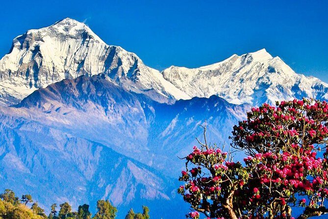 Ghorepani Poonhill Trek -8 Days - Day 7: back to Kathmandu with a Manakamana cable car area stop