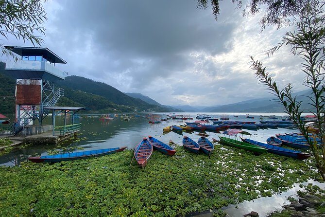 Half Day Pokhara Sightseeing by Car - Key highlights worth paying attention to