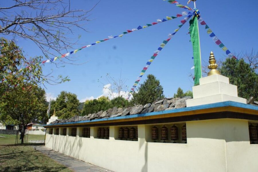 Half day Tibetan cultural tour - Tibetan medical center and meeting a doctor: traditional health, explained with care