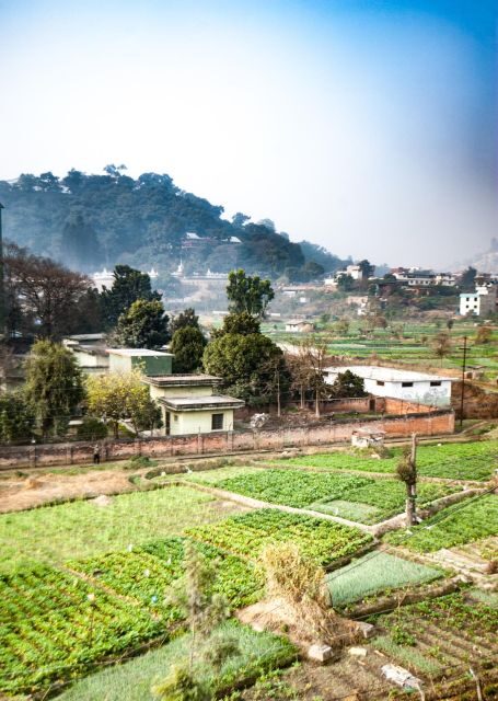 Healing Day tour - Shaman Healing - How to prepare for a shaman healing day in Kathmandu