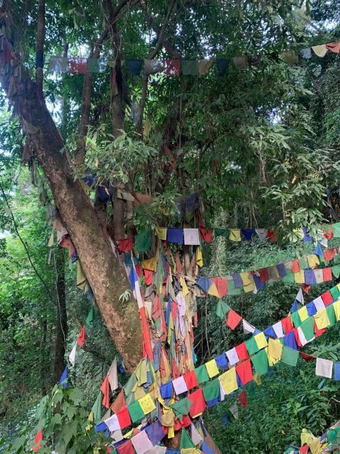 Healing Day tour - Shaman Healing - Nepali family lunch or snacks: why it’s part of the healing day