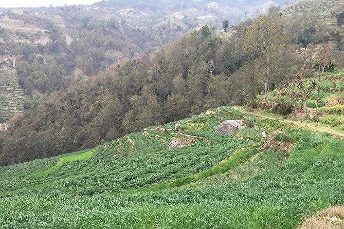 Hiking & city tour in Kathmandu with community Volunteering - Day 5: Nala Gumba and Dhagpo Sheydrub Ling Monastery for a full cultural day