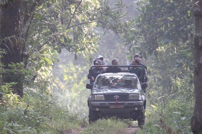 Jungle Towernight Stay: 4-Day Tour in Chitwan National Park - Practical Tips: What to Bring for Tower Nights and Safari Days