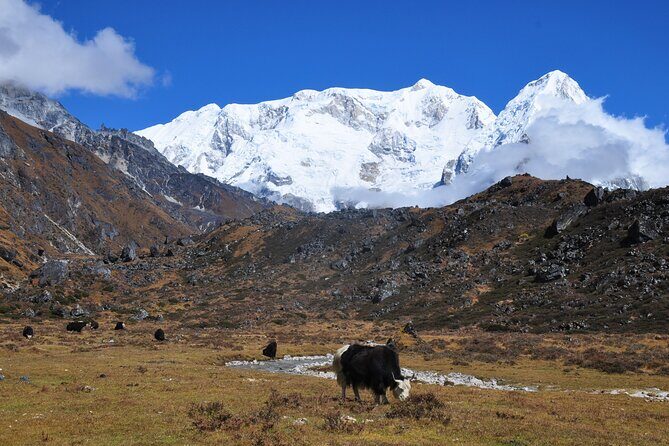 Kanchenjunga Circuit Trek - Kanchenjunga Circuit: why this trek feels remote (and worth the effort)