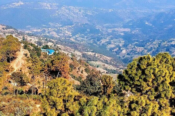 Kathmandu: 1 Day Hiking to Nagarjun Hill - Stop 3: Nagarjun Forest Reserve—wildlife chances and slower walking