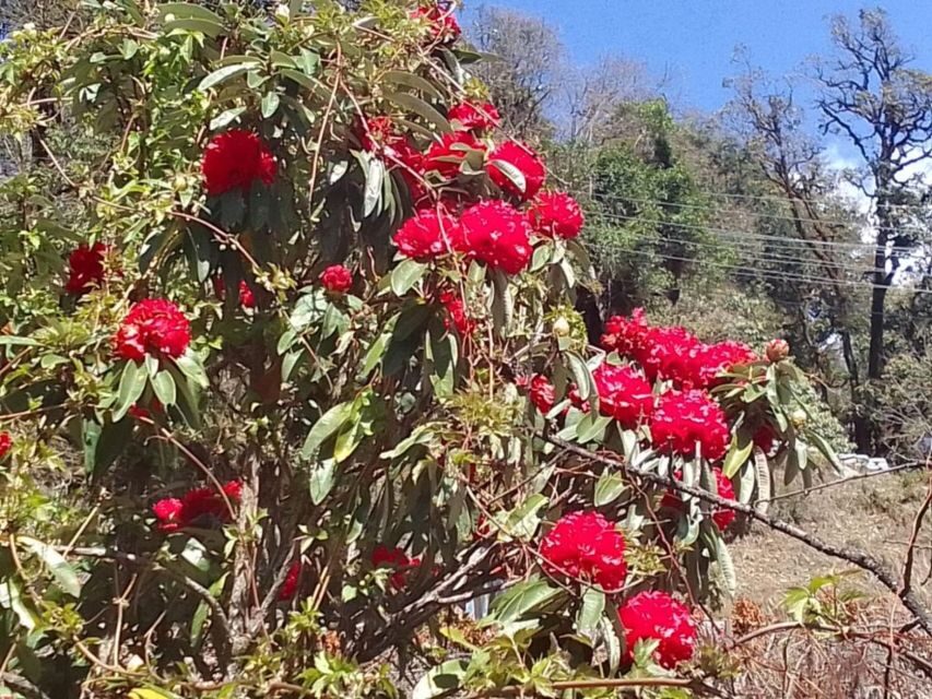 Kathmandu: 10-Day Adventurous Annapurna Circuit Trek - Day 2: Dharapani to Chame, forests and suspension bridges