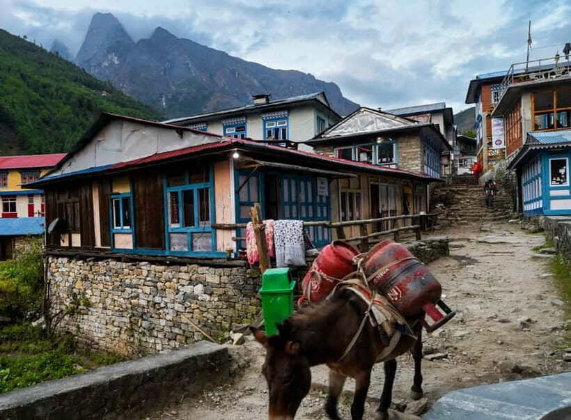 Kathmandu: 15-Day Everest Base Camp Trek with Guide - From Kathmandu to Lukla: Your First Altitude Hit Starts on Flight Day