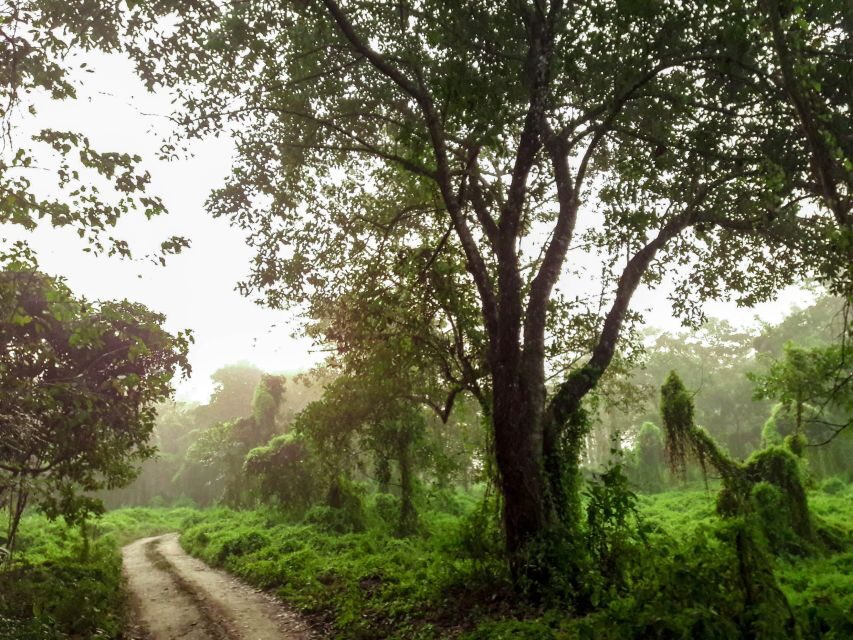 Kathmandu: 3-Day Wildlife, Culture and Jungle Safari Tour - The 6-hour road trip to Sauraha: first day logistics that affect the vibe