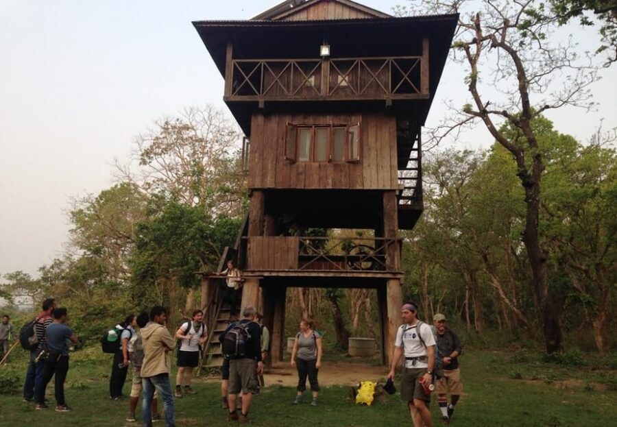 Kathmandu: 4-Day Private Chitwan National Park Safari Tour - Who should choose this Kathmandu to Chitwan private safari?