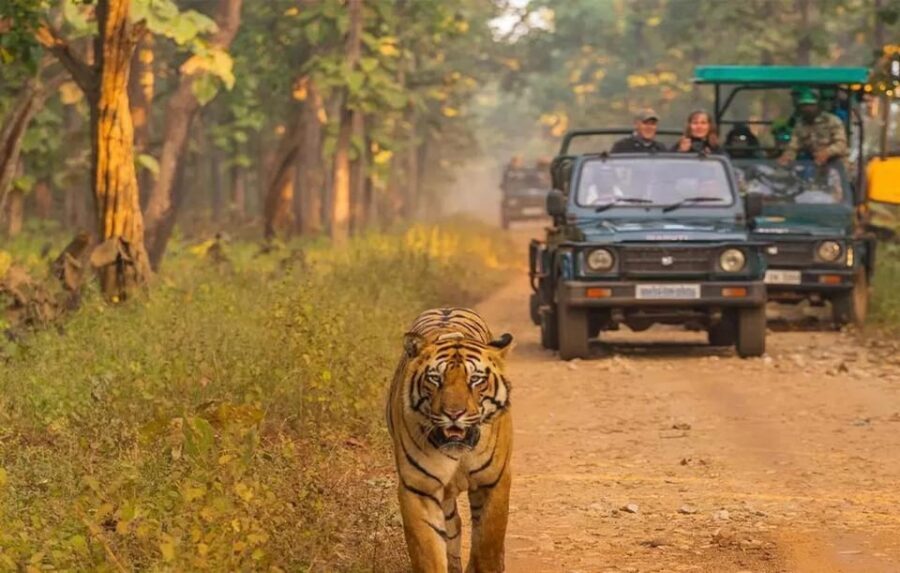 Kathmandu: 4-Day Private Chitwan National Park Safari Tour - Rapti River canoe ride and the elephant breeding center