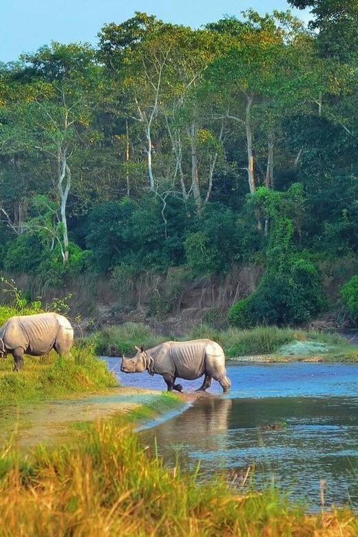 Kathmandu: 4-Day Private Chitwan National Park Safari Tour - Price and value: what $202 per person really covers