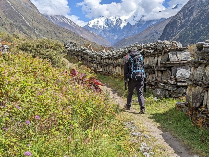 Kathmandu: 6-Day Limitless Langtang Trek - Price and logistics: what $181 buys you (and what it doesn’t)