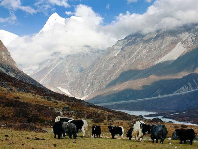 Kathmandu: 6 Days Langtang Valley Trek - Guide Quality and Safety: The Hidden Difference on Trek Days