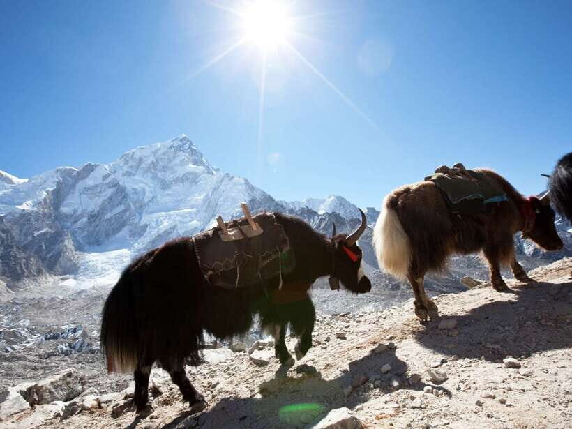 Kathmandu: 6 Days Langtang Valley Trek - Why the Langtang Valley Trek Feels Worth It in 6 Days