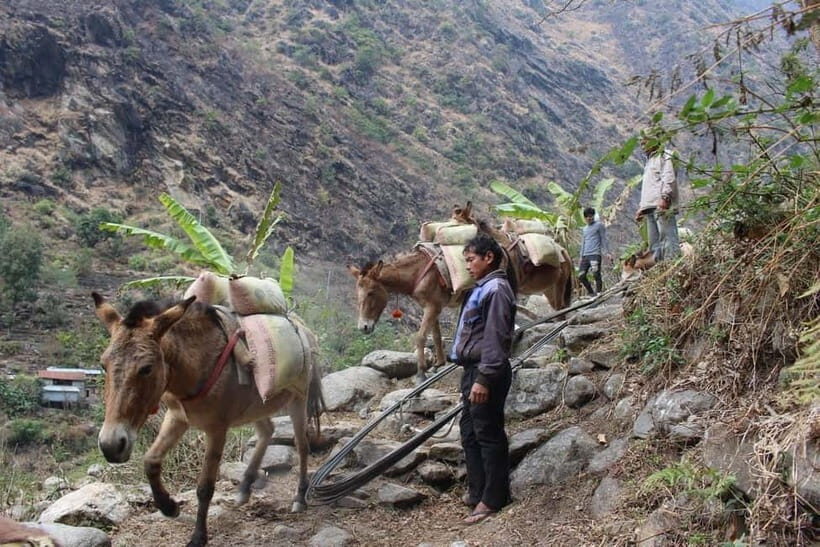 Kathmandu: 9-Day Annapurna Circuit Trek via Thorong La Pass - Thorong Phedi to Muktinath via Thorong La: the big day and the big payoff