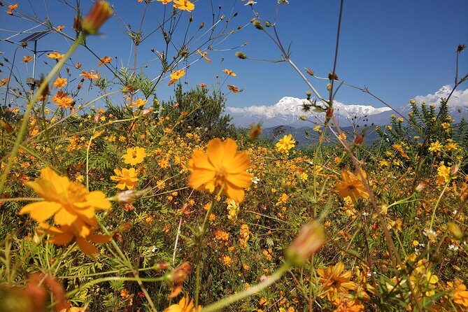 Kathmandu and Pokhara: A Journey Through Nepal's Cultural and Natural Wonders - FAQ