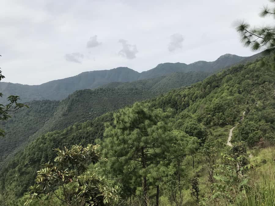 Kathmandu: Champadevi - Chandragiri Hike & Cable Car Descent - Guides and language: the human factor that makes the trek easier