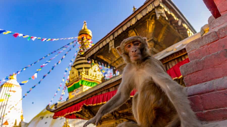 Kathmandu: Chandragiri Cable Car and Monkey Temple Tour - Chandragiri Cable Car: a simple ride with serious payoff
