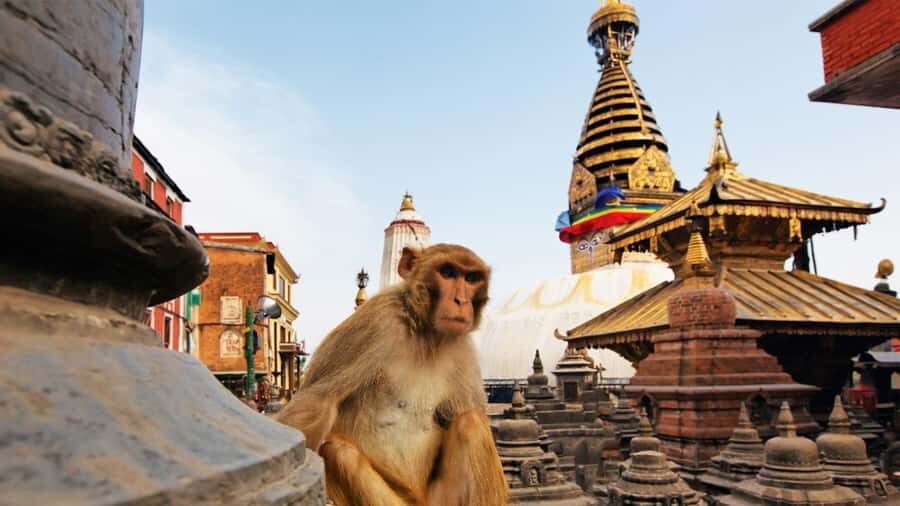 Kathmandu: Chandragiri Cable Car and Monkey Temple Tour - Who this tour suits best