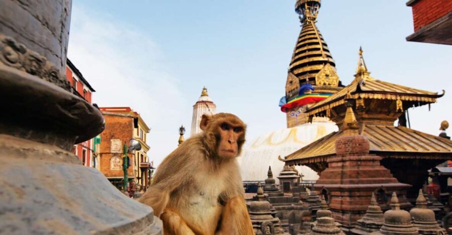 Kathmandu: Chandragiri cable car & Swayambhunath Tour - Key Highlights You’ll Actually Feel
