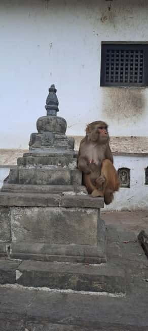 Kathmandu: Chandragiri cable car & Swayambhunath Tour - The Guide Factor: When Subash-Like Service Makes a Difference