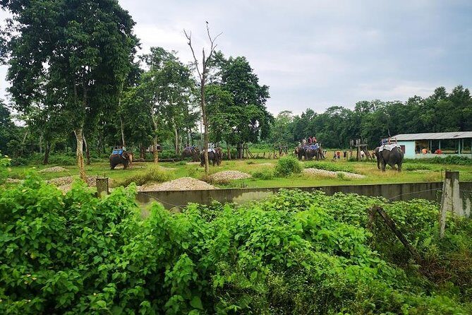 Kathmandu Chitwan Pokhara Tour - Price and logistics: what $852.27 is really buying