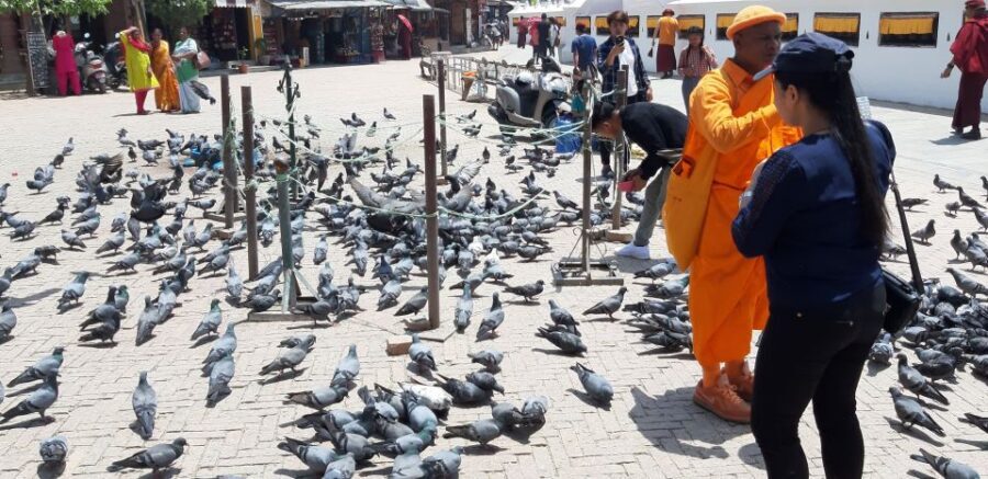 Kathmandu: Guided -Day Tour of World Heritage Sites - Swayambhunath Monkey Temple: hilltop views over the valley