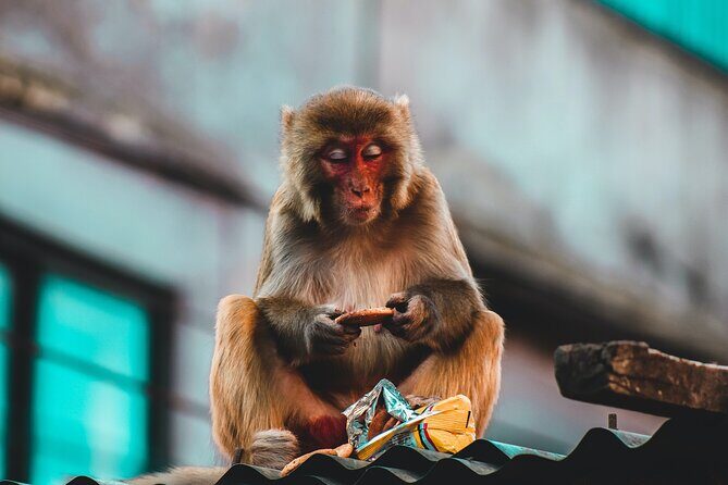 Kathmandu Highlights with Nagarkot Tour - Money and value: is $577.25 a fair deal for this 5-day plan?
