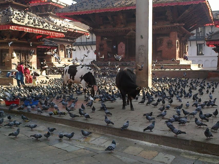 Kathmandu: Monkey Temple and Chandragiri Cable Car Ride Tour - Price and real value: what $47 covers (and what to budget for)