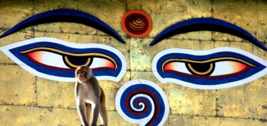 Kathmandu: Monkey Temple and Chandragiri Cable Car Ride Tour - What to bring and how to make the day feel easier