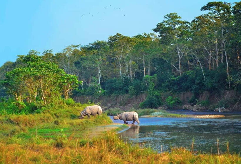 Kathmandu/Pokhara: 3 Day Chitwan Jungle Safari Tour - 3 Days in Chitwan: What You’re Really Signing Up For
