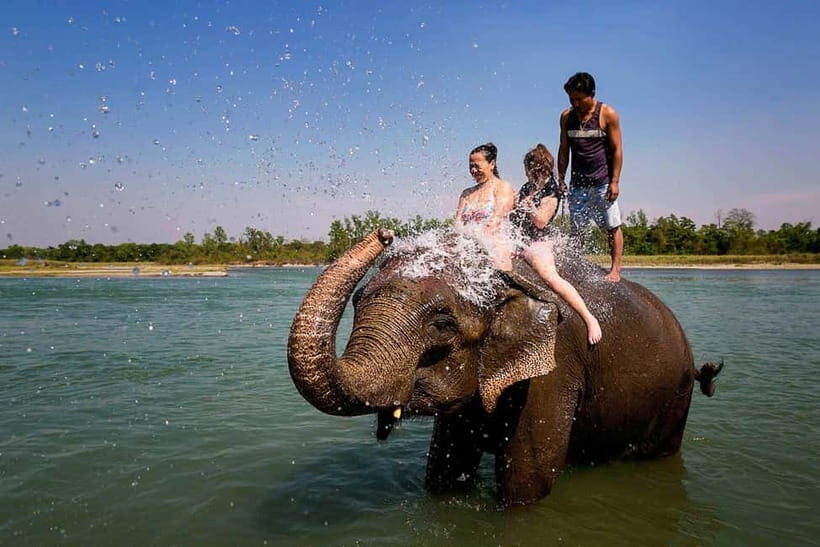 Kathmandu/Pokhara: 3 Day Chitwan Jungle Safari Tour - Day 2: Rapti Canoe, Jungle Walk, Birds, Elephant Center, and Jeep Safari