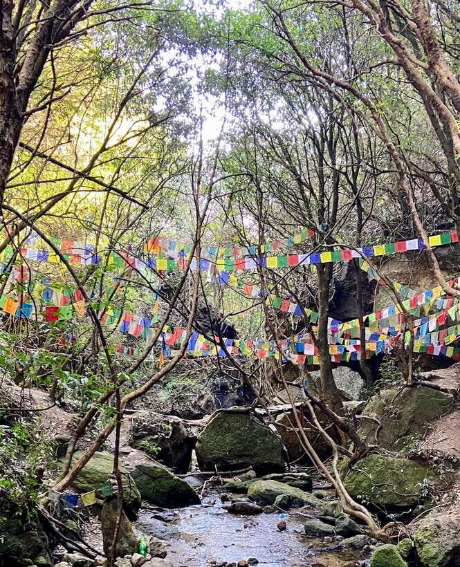 Kathmandu: Shivapuri National Park Day Hike with Lunch box - Key moments at a glance
