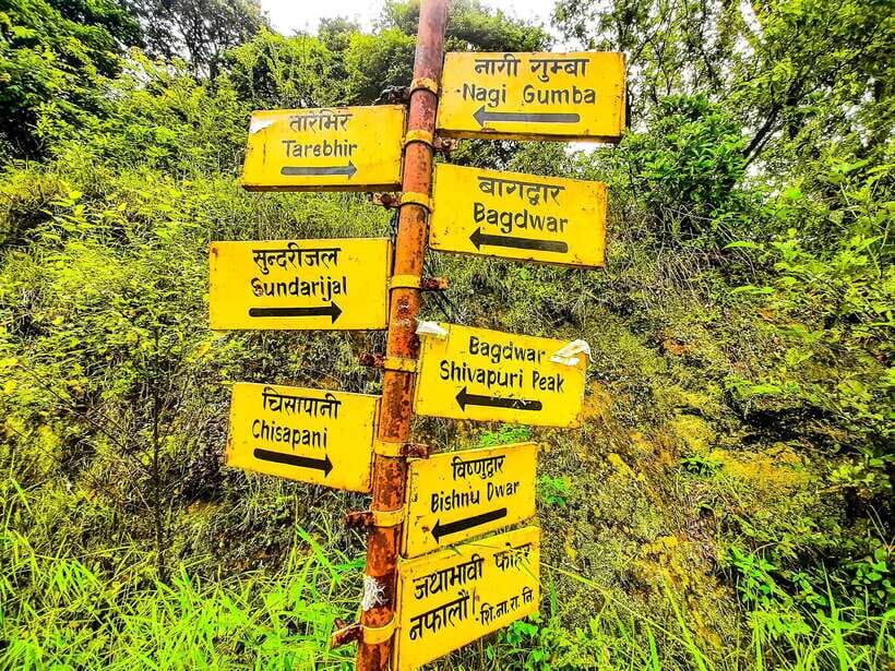 Kathmandu: Shivapuri National Park Day Hike with Lunch box - Why Shivapuri is a smart day escape from Kathmandu
