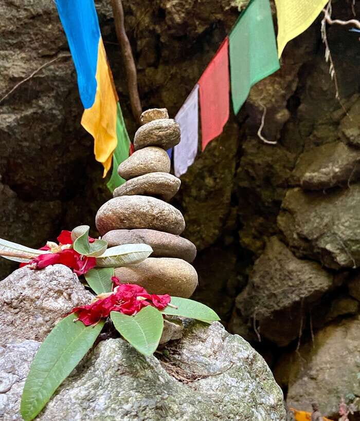 Kathmandu: Shivapuri National Park Day Hike with Lunch box - The hike itself: forest shade, bird calls, and a trail you can trust