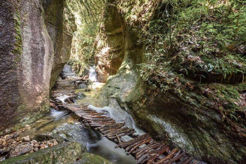 Kathmandu: Shivapuri National Park Day Hike with Lunch box - Pickup, park entry, and how the day actually flows