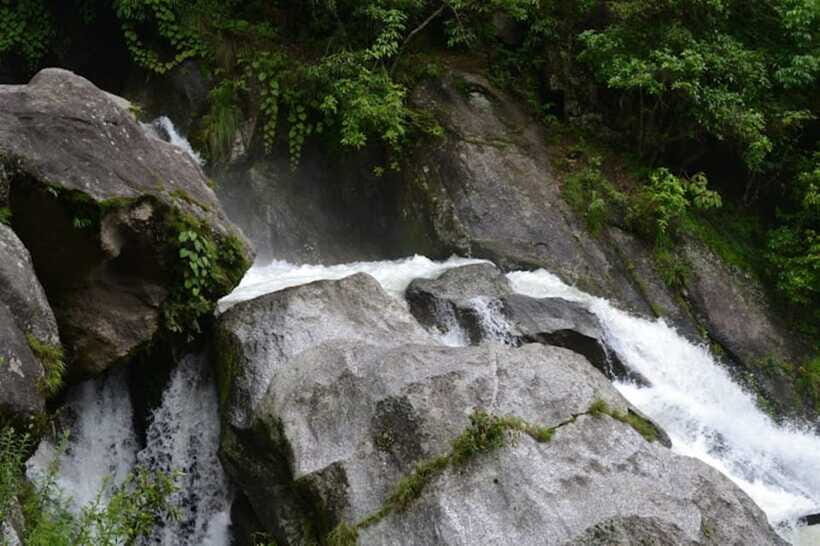 Kathmandu: Shivapuri National park Day Hiking - Bird watching, wild animals, and the soundscape of the forest