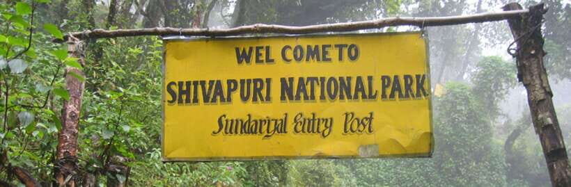 Kathmandu: Shivapuri National park Day Hiking - Flowers through the seasons: rhododendrons and orchids