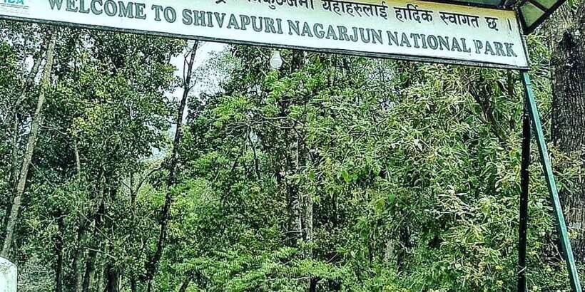 Kathmandu: Shivapuri National park Day Hiking - What to bring (and what to skip) for a comfortable day