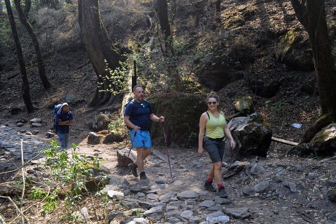 Kathmandu to Langtang Valley 7-Day Trek - Quick hits