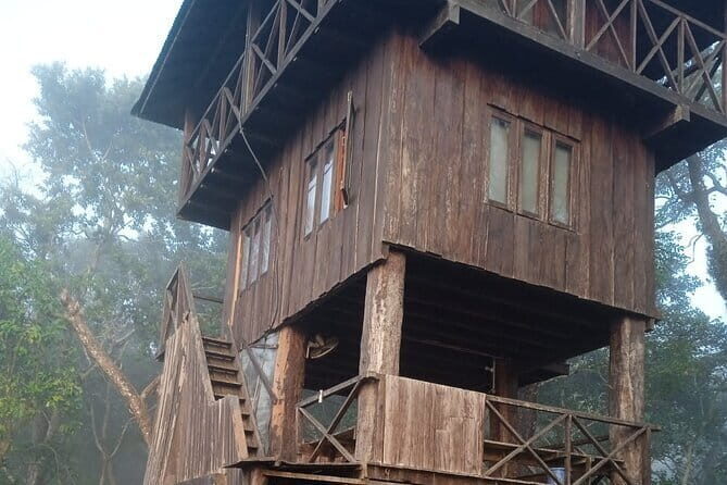 Kathmandu to Langtang Valley 7-Day Trek - Kyanjin Ri at around 4,773m: the viewpoint day that ties everything together