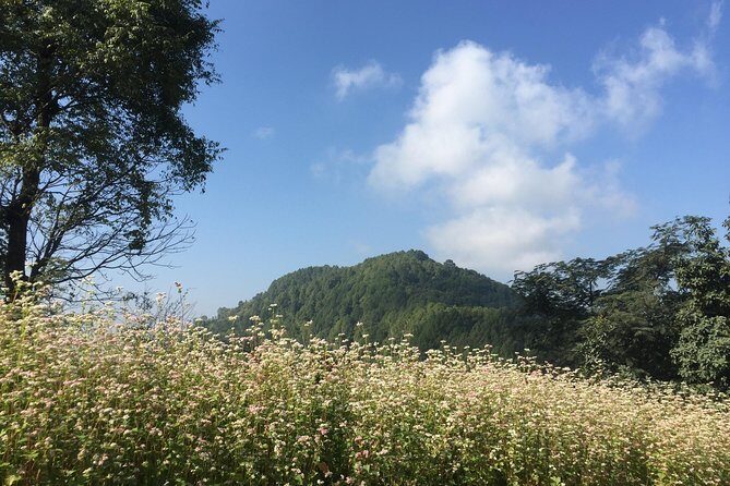 Kathmandu Valley Rim Trekking - 3 days - Three Days Around Kathmandu’s Hill Rim: What You’ll Actually Do