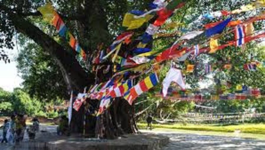 Lumbini Full day tour with Guide - The UNESCO Sacred Garden: The Real Core of the Lumbini Development Zone