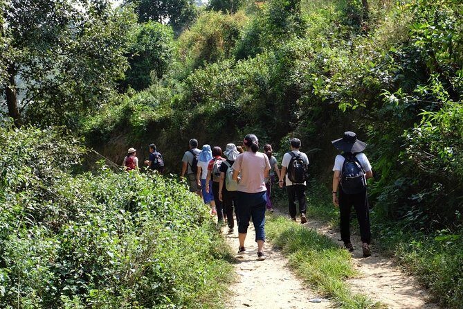 Luxury Changu Nagarkot Hike with Overnight Stay & Bhaktapur Tour - A 2-Day Route That Actually Balances Culture and Breathless Views