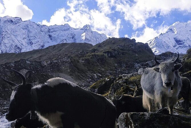 Manaslu Circuit Trek - The Real Appeal: Manaslu’s Mix of Mountains and Culture
