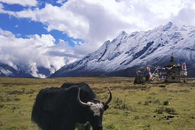 Manaslu Circuit Trek - Places you’ll remember most (and why they work)